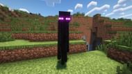 Enderman can teleport randomly or when they are hurt (Image via Mojang Studios)